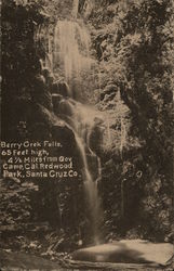 View of Berry Creek Falls Davenport, CA Postcard Postcard Postcard