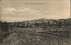 View of Village Postcard