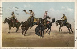 A Bunch of Bucking Broncho Busters Cowboy Western Postcard Postcard Postcard