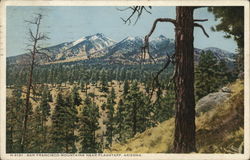 San Francisco Mountains Flagstaff, AZ Postcard Postcard Postcard