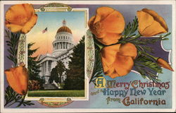 A Merry Christmas and a Happy New Year from California Postcard Postcard Postcard