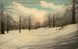 Winter in Cherokee Park Louisville, KY Postcard Postcard Postcard