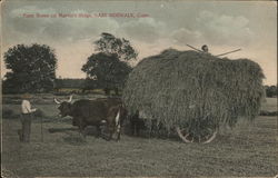 Farm Scene on Marvin's Ridge East Norwalk, CT Postcard Postcard Postcard