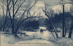 View in Rock Creek Park Washington, DC Washington DC Postcard Postcard Postcard