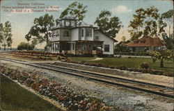 Flower Bordered Railroad Track in Winter California Postcard Postcard Postcard