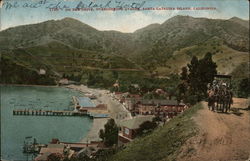 On the Drive, Overlooking Avalon Santa Catalina Island, CA Postcard Postcard Postcard