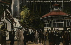 Drinking the Famous Shasta Water Postcard