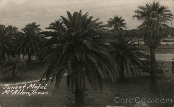 Palm Trees at Sunset Motel McAllen Texas