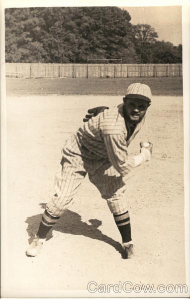 Baseball Player in Action, Ball in Hand