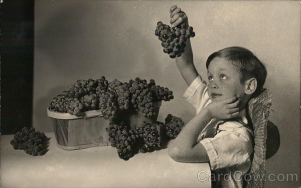 A Boy Holding Bunches of Grapes House of David