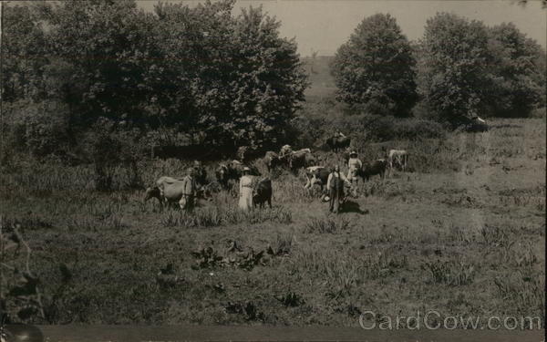 People in Field with Farm Animals Near Trees Benton Harbor Michigan