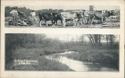 On House of David Farm Postcard