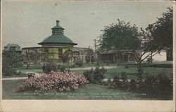 Animal and Bird Cage, the House of David Postcard