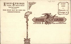 back