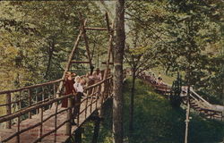 Eastman Springs - Rustic Bridge Benton Harbor, MI Postcard Postcard Postcard