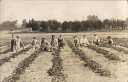 Men Working in a Field Postcard