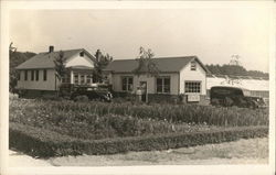 Herman's Greenhouse Postcard
