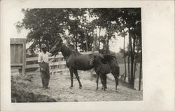 Man with Mare and Colt Postcard