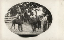 Three Men with Two Horses Postcard