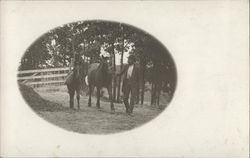 Man Walking with Two Horses Postcard
