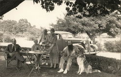 Three Women, Two Men and a Collie Outdoors Near Table Postcard
