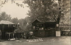 House of David Park Postcard