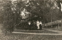 Three Women Standing in a Park Postcard