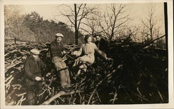 Four People On a Pile of Tree Limbs Postcard