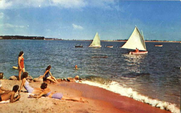 Sailing Along The Shore Sailboats
