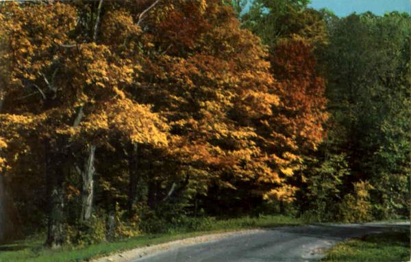 Autumn Colors Along Oatka Trail Leron New York