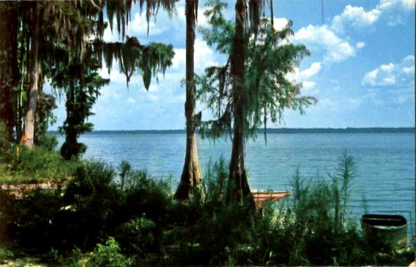 Popular Lake Newnan Gainesville Florida
