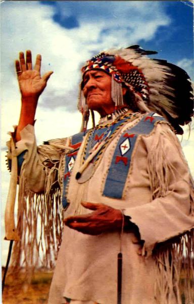 Chief Bull Native Americana