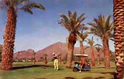 Golfing In Phoenix Arizona Postcard Postcard