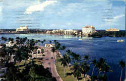 Scenic Flagler Drive West Palm Beach, FL Postcard Postcard