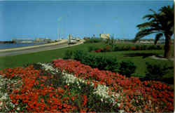 Clearwater Beach Postcard