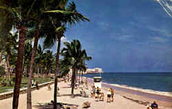 Miami Beach Postcard