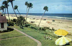 Palms Along The Beach In Florida Postcard