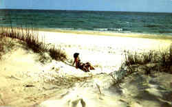 Beauty Among The Snow White Sand Panama City, FL Postcard Postcard