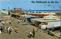 Monorail Train Ride At Fun Pier Postcard
