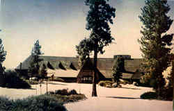 Cal Neva Lodge Postcard