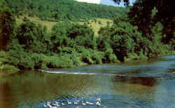 The Old Mill Pond, Route B Mount Upton, NY Postcard Postcard