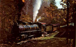 Tweetsie Railroad Postcard