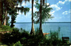 Popular Lake Newnan Gainesville, FL Postcard Postcard