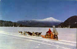 Husky Dog Team, Alaska Postcard
