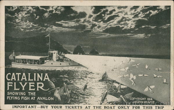 Catalina Flyer Showing Flying Fish at Avalon California