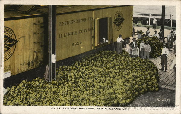 Loading Bananas New Orleans Louisiana