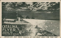 Catalina Flyer Showing Flying Fish at Avalon Postcard