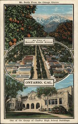 Mt. Baldy From the Orange Groves Postcard