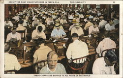 One of the Many Cigar Factories in Tampa, Fla. The Cigar City Florida Postcard Postcard Postcard