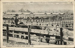 Remount Station Postcard